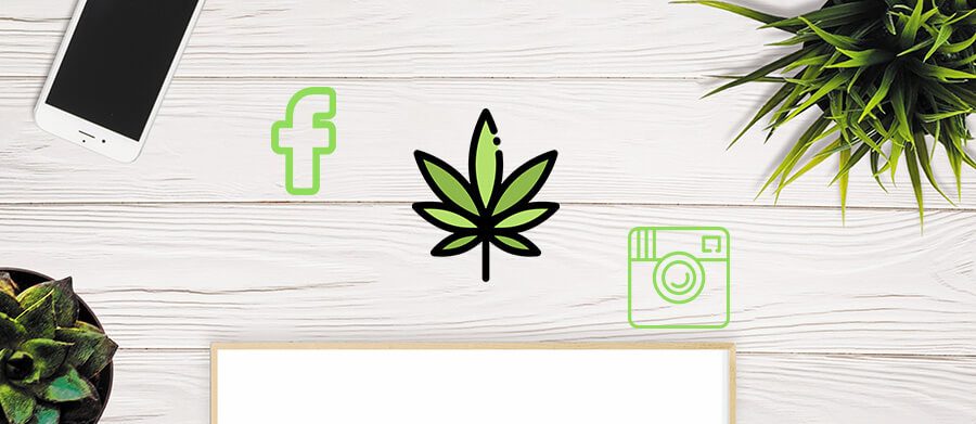 http://www.growthdispensarymarketing.com/wp-content/uploads/2019/11/cannabis-social-media-management-company-canada-usa-cola-digital-agency-e1551572378667.jpg