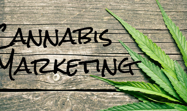 7  Cannabis Marketing Tips to Skyrocket your Online Growth